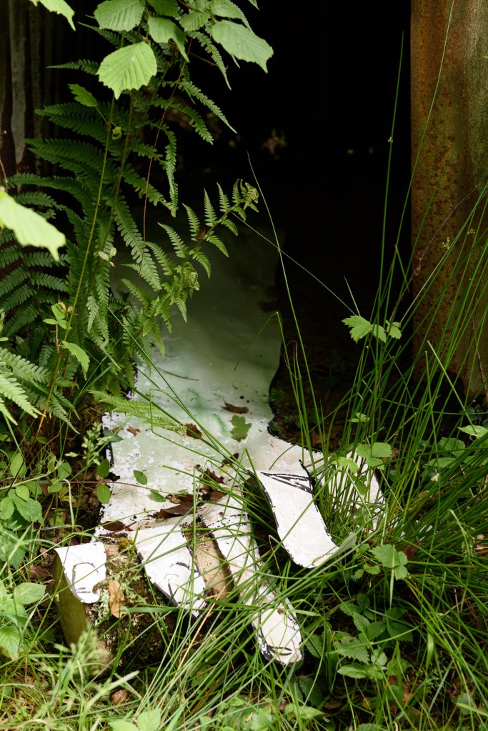 A paper hand emerges from a dark wooded space